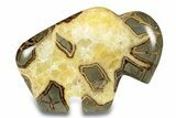 Calcite-Filled Polished Septarian Bison - Utah #264590-2